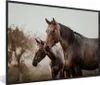 MuchoWow® MuchoWow® Gerahmtes Poster Pferde - Natur - Braun Produktbild-Vorschau 1