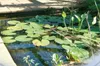 Ubbink Teichschale Fertigteich Jupiter  230 L schwarz Produktbild-Vorschau 5