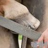 PFERD TOOLS Rabot pour sabots, tronc plat 350mm Rabotage et Voir les images du produit 4