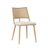 A single chair on a white background. Podgląd zdjęcia produktu
