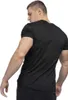 Koszulka męska regular fit ORIGINAL Black XL Lonsdale Podgląd zdjęcia produktu 2