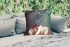 MuchoWow® Outdoor Kissen - Torso - Stilleben - Produktbild-Vorschau 2