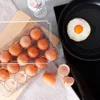 Pratico contenitore per uova con coperchio: può contenere Anteprima dell’immagine prodotto 9