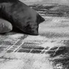 A close-up view of a rug with two pillows on it. Produktbild-Vorschau