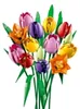 LEGO® Botanicals 11501 Le bouquet de tulipes Voir les images du produit 17