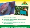 Neudorff Neudomon PflaumenmadenFalle 1 Stk. insektizidfrei Produktbild-Vorschau 4
