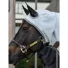 Kentucky Horsewear Ekzemerdecke mit Halsteil Fliegendecke Produktbild-Vorschau 11