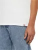 Dickies Herren T-Shirt DICKIES COMPANION T, Größe:M, Produktbild-Vorschau 3