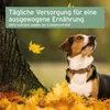 AniForte Leinöl für Hunde & Pferde 1 Liter - Natives Öl Produktbild-Vorschau 6
