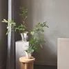 Georg Jensen - BLOOM Botanica Übertopf, 14 cm Produktbild-Vorschau 7
