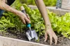 EcoLine Blumenkelle100 %         E5 Produktbild-Vorschau 10