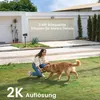 A woman is playing with a golden retriever dog on a grassy lawn in front of a modern house with a garage. Náhled obrázku produktu