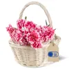 Creative Home Mały Koszyczek Wiklinowy z rączką | 22x22x26 Podgląd zdjęcia produktu 1