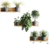 3D Wandaufkleber, Entfernbarer Bonsai Wandaufkleber, Produktbild-Vorschau 1