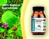 DR WAKDE'S Punarnava Kapseln (Boerhavia diffusa) | 60 Vegi Produktbild-Vorschau 6