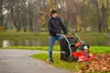 Materiałowy kosz do odkurzacza Cedrus LV58S 9500122 - Podgląd zdjęcia produktu 2