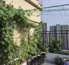 Filet - tuteur pour plantes 2x10m Gardlov 23978 Voir les images du produit 12