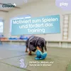 Szelki dla psa Coachi Podgląd zdjęcia produktu 8
