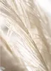Trayosin 3szt Boho Pampas Grass Poster Set Nature Canvas Podgląd zdjęcia produktu 8