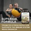 Ashwagandha 3000mg (120 Kapseln) Nahrungsergänzungsmittel, Produktbild-Vorschau 9