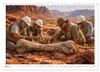 Verrückt nach Fossilien (Wandkalender 2027 DIN A4 quer), Produktbild-Vorschau 8