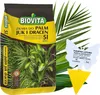 A bag of plant soil with a palm leaf and an insect trap. Voir les images du produit