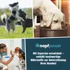 Gelenktabletten für Hunde 125 Stk - Grünlippmuschel, Produktbild-Vorschau 5