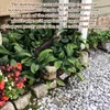 A brown downspout extension is shown in a garden bed with green plants and red flowers. Náhled obrázku produktu