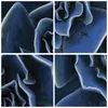 Poster - Poster ohne Rahmen - Blau Kaktus Blume - 70x50 cm Produktbild-Vorschau 8