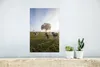 MuchoWow® Poster Kühe - Licht - Nebel 20x30 cm - Produktbild-Vorschau 5