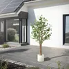 ML-Design umelý eukalyptus 180 cm, umelá rastlina s kmeňom Náhľad obrázku produktu 9