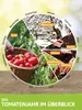 Kirschtomatenpflanze Mexikanische Honigtomate | Produktbild-Vorschau 2