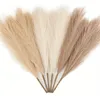 6er Set Pampasgras Kunstblumen 50 cm Boho Deko für Zuhause Produktbild-Vorschau 2