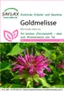SAFLAX - včelí balzam - Monarda didyma - 20 Semená Náhľad obrázku produktu 11