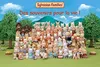 Sylvanian Families 5015, 3 lat(a), Różne kolory, Podgląd zdjęcia produktu 4