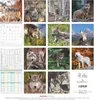 Wölfe 2026 - Broschürenkalender 30x30 cm (30x60 geöffnet) Produktbild-Vorschau 2