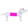 Teckel Chien Étirement Chien Anti-stress Élévation Pop Tube Voir les images du produit 15