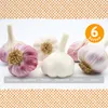Artikelbild 5 von 'Winterpflanzknoblauch Bunte Mischung' aus der Kategorie Steckzwiebeln Produktbild-Vorschau