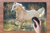 MuchoWow® Schreibtischunterlage Pferd - Natur - Braun 60x40 Produktbild-Vorschau 3