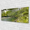 Glasbilder 125x50 Wandbild Druck auf Glas See Natur Produktbild-Vorschau 2