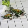 Casablanca Schildkröte Josie Poly,grün/silber L.10cm  Produktbild-Vorschau 2