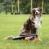 Dog Comets wyrzutnia piłek bazooka wyrzutnia piłek Podgląd zdjęcia produktu 4