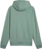 Puma M Cloudspun Branded Hoodie Green Moon Green Moon L Produktbild-Vorschau 7