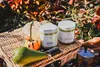 A picnic setting with jars of pistachio paste, a pear, and small pumpkins. Produktbild-Vorschau