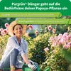 Purgrün -Papaya-Dünger 1 Liter Produktbild-Vorschau 6