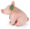 Pluszowa świnka, 18 cm, ekologiczna Podgląd zdjęcia produktu 4