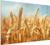 Magnettafel 120x90cm Pinnwand Whiteboard beschreibbar - Produktbild-Vorschau 2