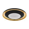 A product shot of a ceiling light. Náhled obrázku produktu