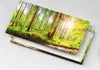 Wald in der Sonne – Leinwandbild Wandbild – 100x50 cm – Produktbild-Vorschau 5