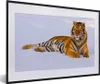 MuchoWow® Gerahmtes Poster Tiger - Schnee - Winter - Tiere Produktbild-Vorschau 1